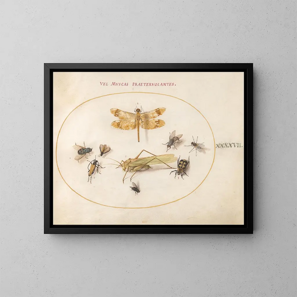 Planta 47 Una libélula, un caballito del diablo, saltamontes, moscas domésticas, un escarabajo necrófago, un longicorne florido y otros insectos - Joris Hoefnagel — cuadro enmarcado en la pared