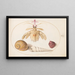 Planche 50 A partial mantis with snail shells - Joris Hoefnagel — framed artwork on a wall