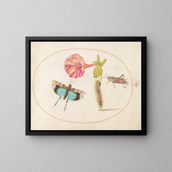 Platino 51 Saltamontes y una oruga con una flor de cuatro horas - Joris Hoefnagel — cuadro enmarcado en la pared