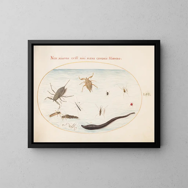 Planchas 56: Escorpión de agua, medidor de agua, patinador de charca, ácaro rojo, sanguijuela y otros insectos acuáticos - Joris Hoefnagel — cuadro enmarcado en la pared