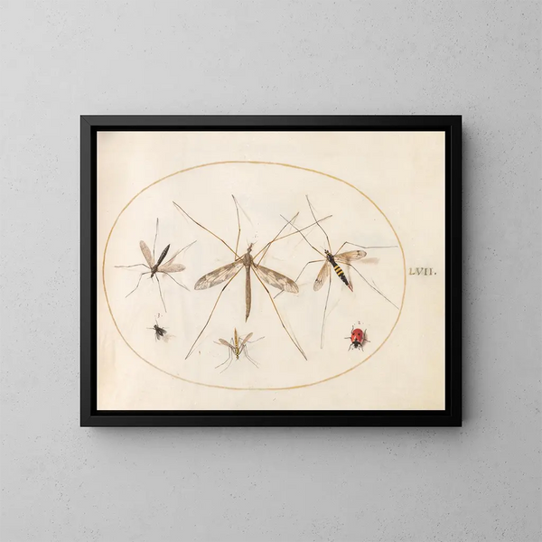 Platino 57 Una mariquita, una mosca y otros cuatro insectos - Joris Hoefnagel — cuadro enmarcado en la pared