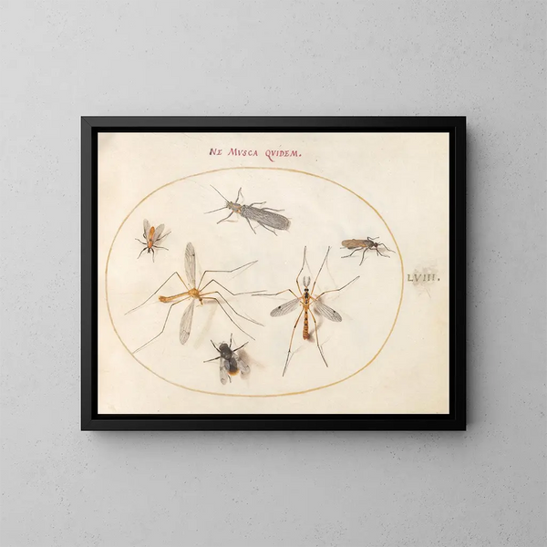 Platino 58 Una abeja y otros cinco insectos - Joris Hoefnagel — cuadro enmarcado en la pared