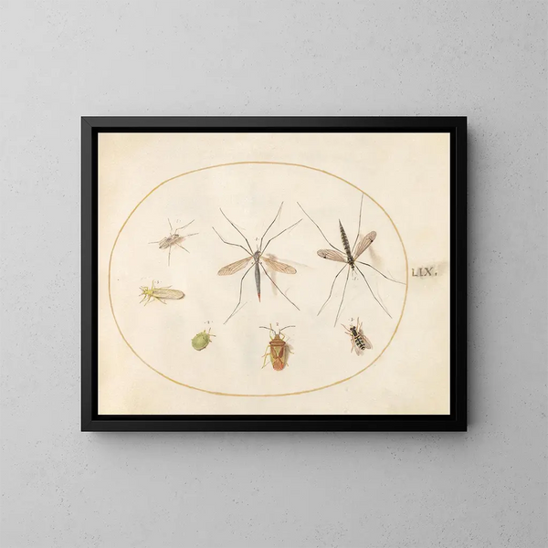 Platino 59 Sept insectos, incluyendo un insecto-escudo de espino, moscas de grúa y una syrphus - Joris Hoefnagel — cuadro enmarcado en la pared