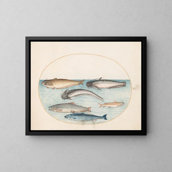 Planche 5 Tres siluros, un salmón y otros dos peces - Joris Hoefnagel — cuadro enmarcado en la pared