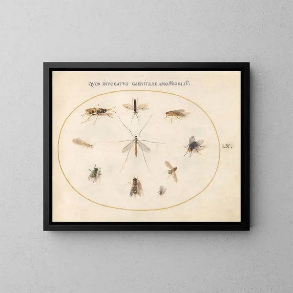 Planta 60 Moscas y otros insectos - Joris Hoefnagel — cuadro enmarcado en la pared