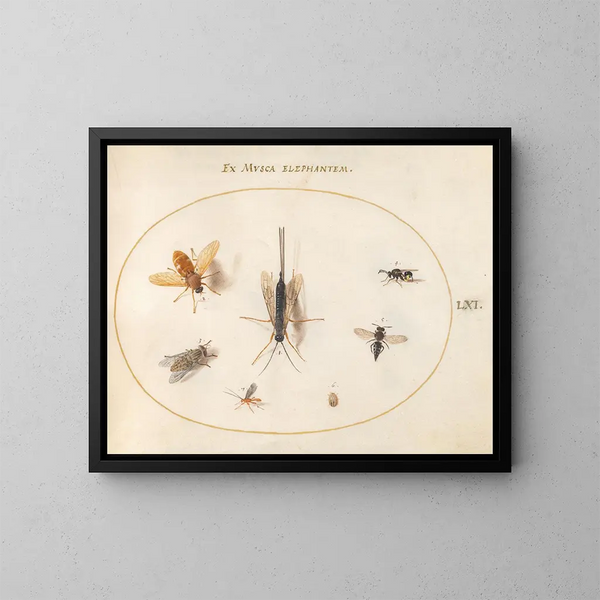 Platino 61 Sept insectos, incluyendo moscas - Joris Hoefnagel — cuadro enmarcado en la pared