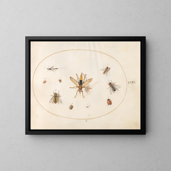 Platino 62 Diez insectos - Joris Hoefnagel — cuadro enmarcado en la pared