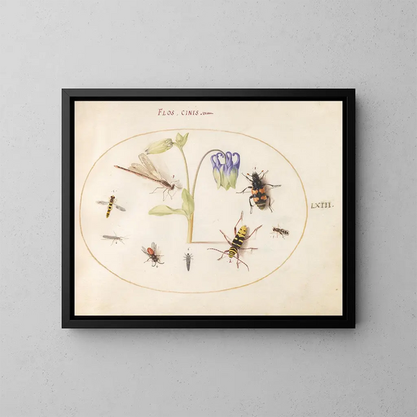 Planta 63 Una libélula, un longicorne manchado, un necróforo y otros insectos con una columbina azul y blanca - Joris Hoefnagel — cuadro enmarcado en la pared