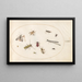 Planche 64, eleven insects including a dragonfly and a longhorn beetle - Joris Hoefnagel — framed artwork on a wall