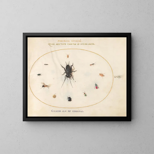 Platino 65 Un grillo rodeado de insectos, incluyendo una avispa con cola rubí - Joris Hoefnagel — cuadro enmarcado en la pared