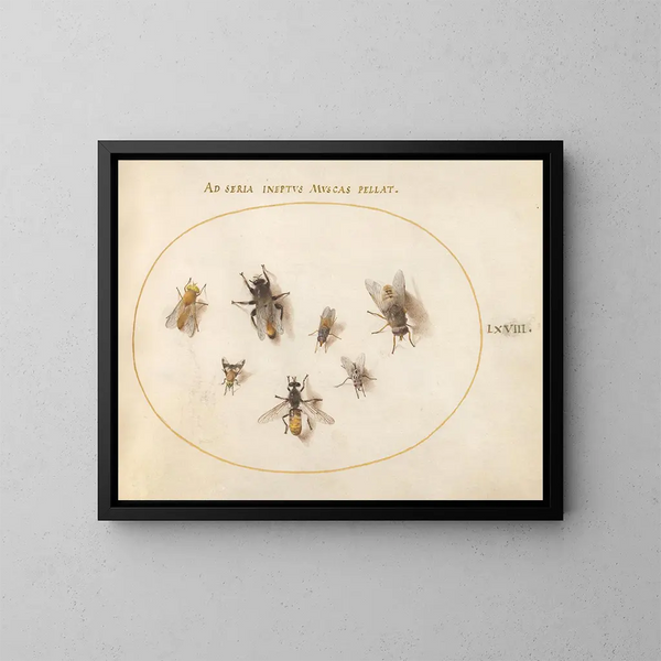 Platino 68 Sept abejas y moscas - Joris Hoefnagel — cuadro enmarcado en la pared