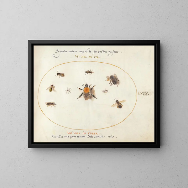 Platino 69 Nuevo abejas y otros insectos - Joris Hoefnagel — cuadro enmarcado en la pared