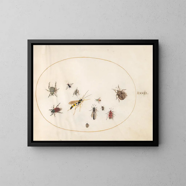 Platino 72: Chinches escudo, chinche canela, avispa y otros insectos - Joris Hoefnagel — cuadro enmarcado en la pared