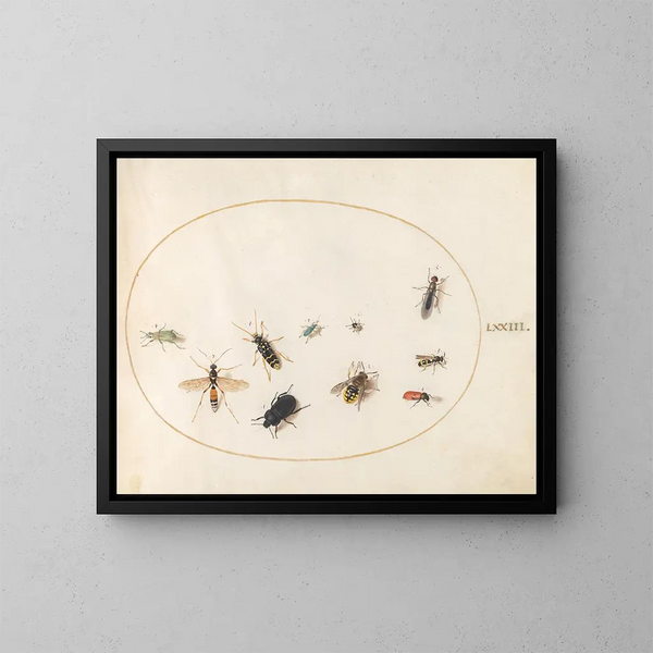 Platino 73 Diez insectos - Joris Hoefnagel — cuadro enmarcado en la pared