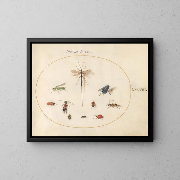 Planche 78 Diez insectos, incluyendo una mosca azul - Joris Hoefnagel — cuadro enmarcado en la pared
