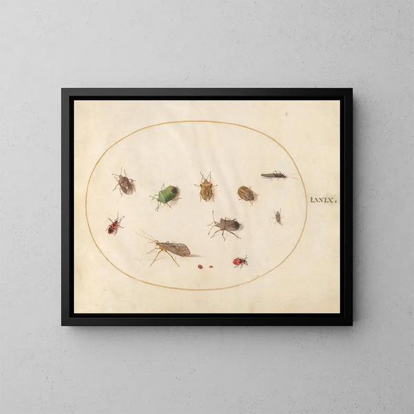 Platino 79 Doce insectos, incluyendo chinches - Joris Hoefnagel — cuadro enmarcado en la pared