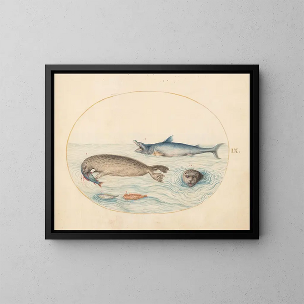 Platino 9 Un gran tiburón blanco, dos focas y dos peces - Joris Hoefnagel — cuadro enmarcado en la pared