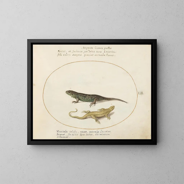Two Sand Lizards - Joris Hoefnagel — framed artwork on a wall