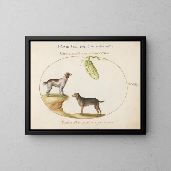 Two Spaniels with a Water Bottle - Joris Hoefnagel — framed artwork on a wall
