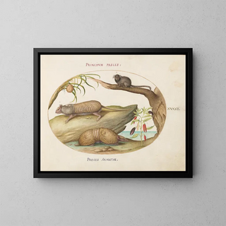 Joris Hoefnagel - Two Types of Armadillos with a Marmoset a Coconut Palm and a Pepper Plant.webp
