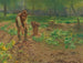 Cosecha de patatas - Josef Kinzel — vista de la obra