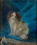 Retrato de un caballero - Josef Melling — vista de la obra