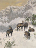 Gämse en invierno - Josef Schmitzberger — vista de la obra