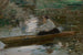 Dama en un barco - Josef Schusser — vista de la obra