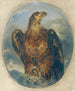 Adler - Joseph Hasslwander — vista de la obra