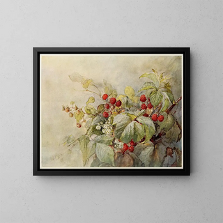 Joseph Kallaus - Red Raspberries.webp
