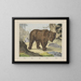 Bear - Joseph Scholz — framed artwork on a wall