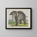 Elefante - Joseph Scholz — cuadro enmarcado en la pared