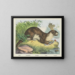Joseph Scholz - Fischotter.webp