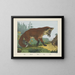 Fox - Joseph Scholz — framed artwork on a wall