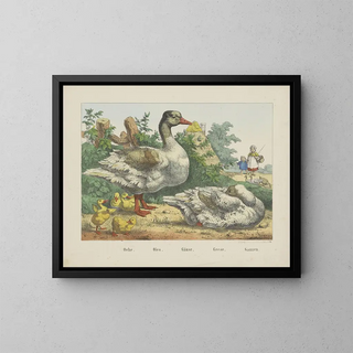 Joseph Scholz - Geese.webp