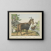 Chèvres - Joseph Scholz — framed artwork on a wall