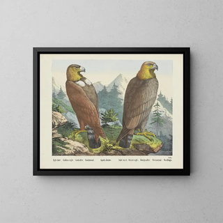 Joseph Scholz - Golden eagle.webp