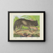 Jackal - Joseph Scholz — framed artwork on a wall