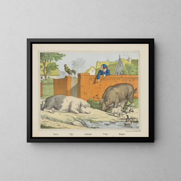 Pigs - Joseph Scholz — framed artwork on a wall