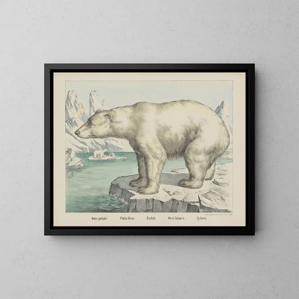 Ours polaire - Joseph Scholz — cuadro enmarcado en la pared