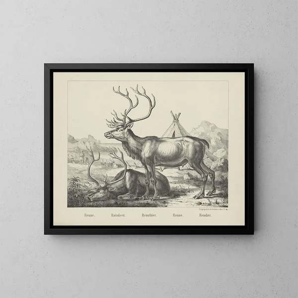 Renne - Joseph Scholz — cuadro enmarcado en la pared