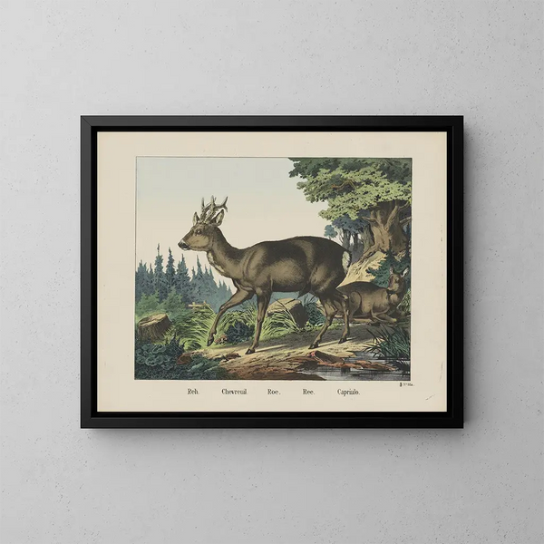 Roe - Joseph Scholz — cuadro enmarcado en la pared