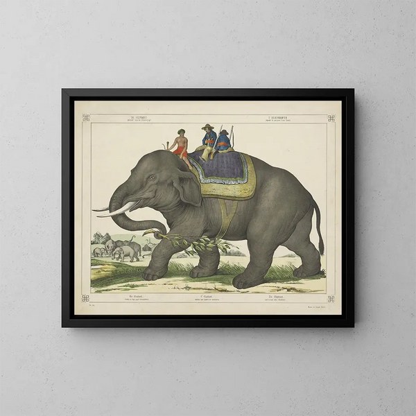 L'elefante cazaba otros elefantes - Joseph Scholz — cuadro enmarcado en la pared