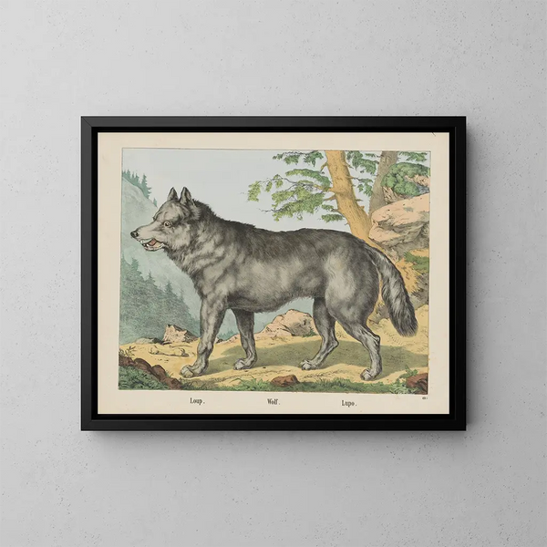 Loup - Joseph Scholz — cuadro enmarcado en la pared