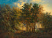 Bosque tropical australiano - Joseph Selleny — vista de la obra