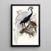 Euplocomus nycthemerus - Joseph Smit — cuadro enmarcado en la pared