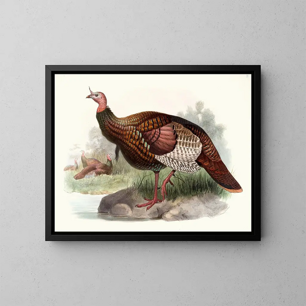 de Pavo salvaje - Joseph Smit — cuadro enmarcado en la pared