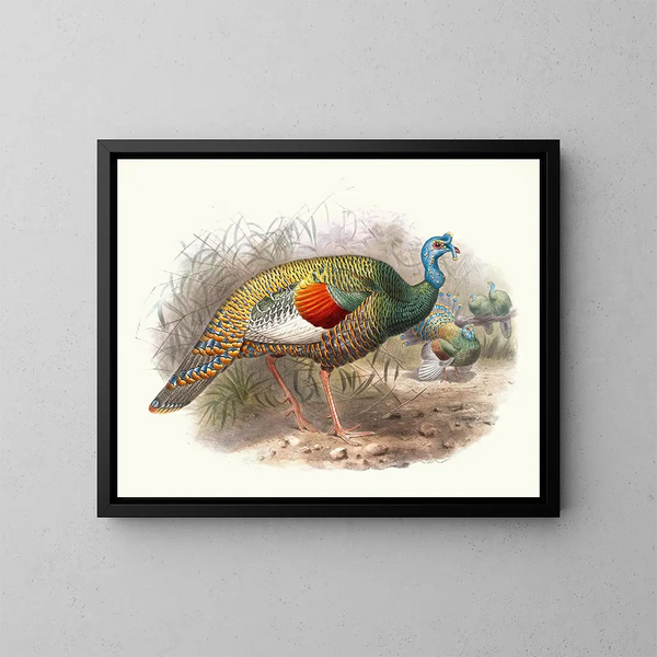 Pavo real con ojos - Joseph Smit — cuadro enmarcado en la pared