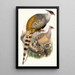 Phasianus Wallichii - Joseph Smit — cuadro enmarcado en la pared
