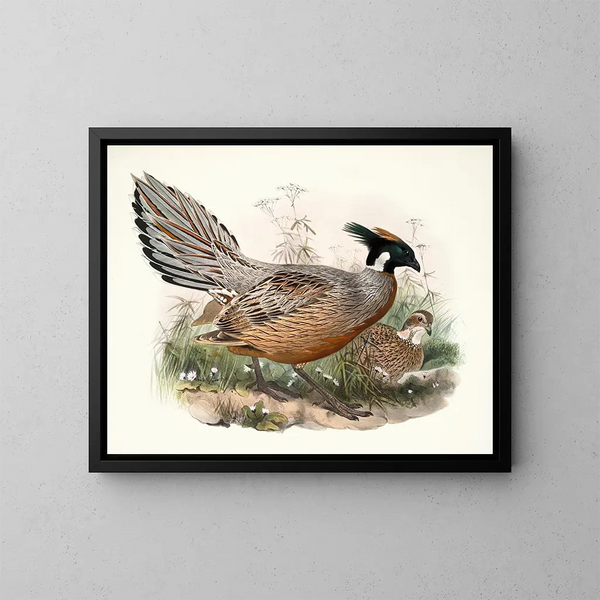 Darwin Purchase Painting - Joseph Smit — framed artwork on a wall